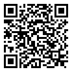 QR-Code - insane Gaming
